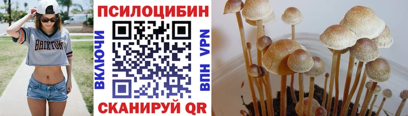 цена наркотик  Пролетарск  Галлюциногенные грибы Magic Shrooms 